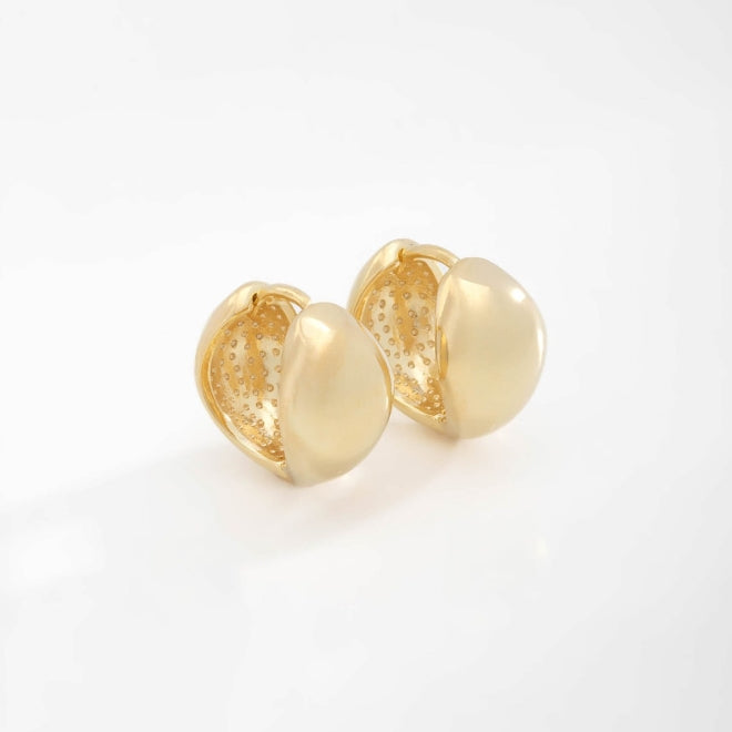 Classic Smooth Earrings